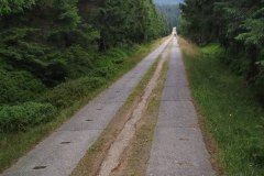 IMG_20200806_151030