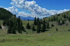 IMG_20210806_125459