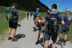 IMG_20210806_125627