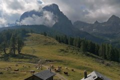IMG_20210807_093543