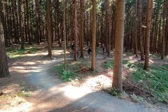 IMG-20250109-WA0048