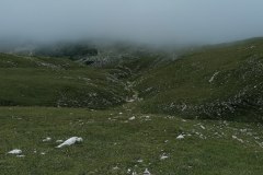 IMG_20230804_130701