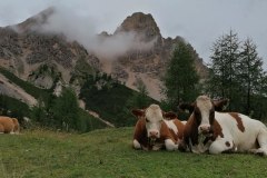 IMG_20230805_124550