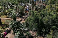 IMG_20230509_114554