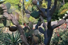 IMG_20230509_114746