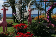 IMG_20230510_110031