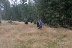 IMG_20240802_112102