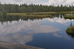 IMG_20240803_124246