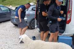 IMG-4516b7000d6b64d1418c9c9982bb3ffb-V
