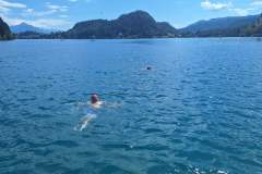 IMG-6478c485424e2e2f7812dc53e2e5889a-V